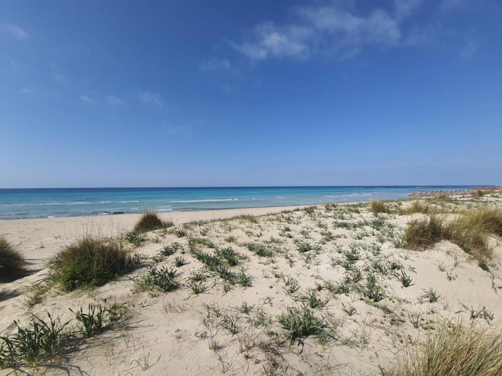 Fronte Mare Apartment